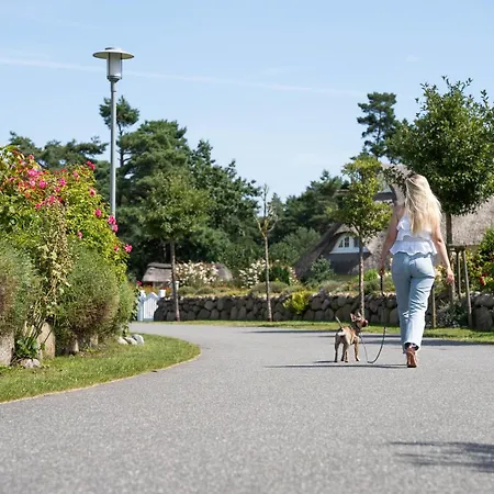 Haubenlerche 25 Fuhlendorf (Mecklenburg-Vorpommern)