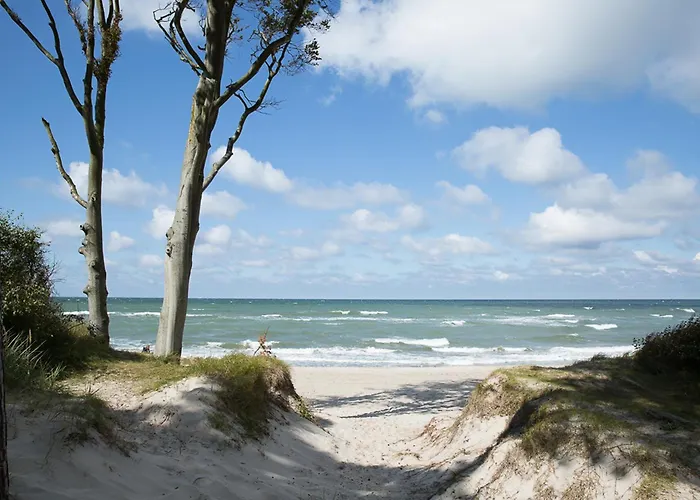 Vakantiehuis Haubenlerche 25 Fuhlendorf (Mecklenburg-Vorpommern)