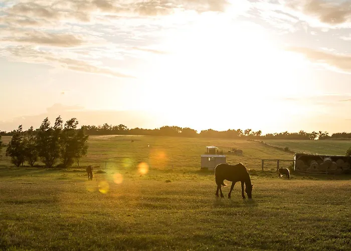 Vakantiehuis Haubenlerche 25 *