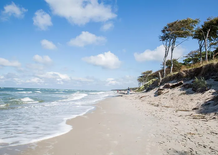 Haubenlerche 25 Vakantiehuis Fuhlendorf (Mecklenburg-Vorpommern)