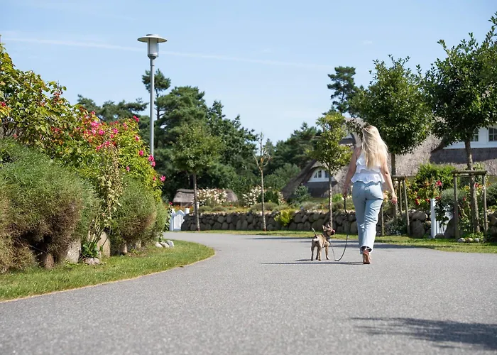 Haubenlerche 25 Fuhlendorf (Mecklenburg-Vorpommern)